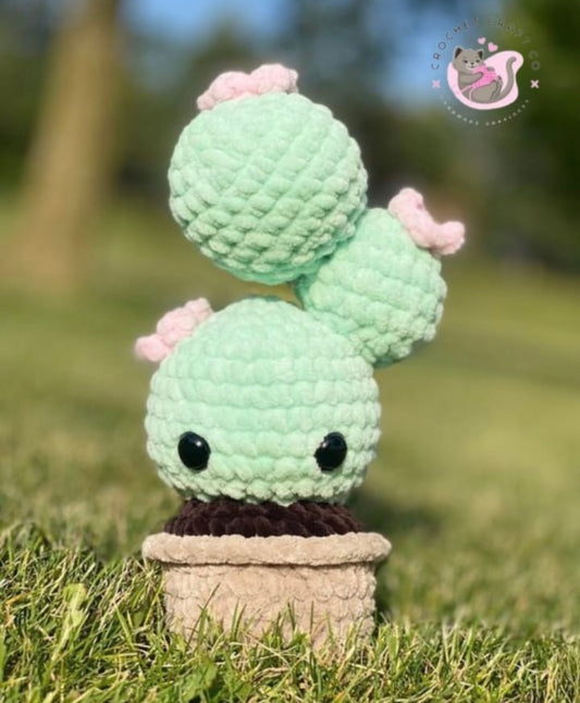 Decorative cactus pot