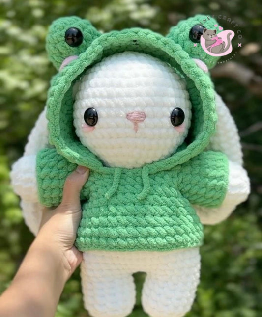 Bunny in a frog hoodie